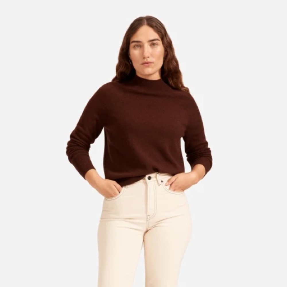 Everlane Cashmere Raglan Mockneck